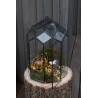 Terrarium noir moyen