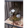 Terrarium noir moyen