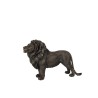 Lion bronze large