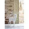 Petit renne blanc