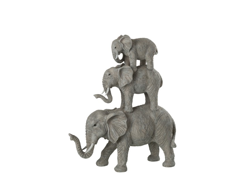 Éléphants sur dos gris