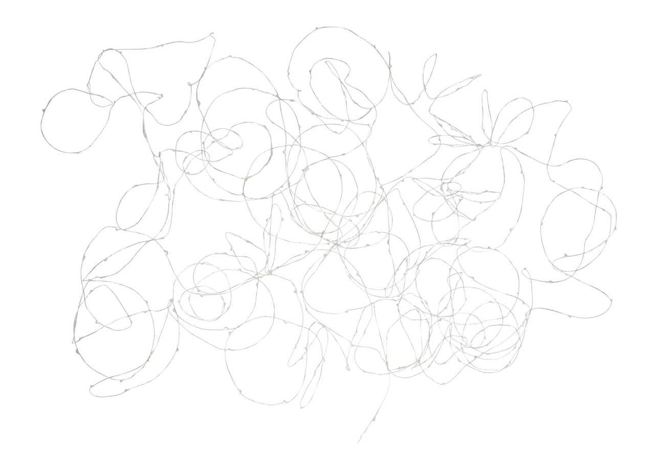 Guirlande 30m Argent 300 led